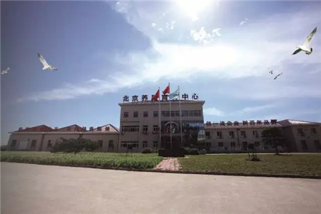 规模化电子游艺网站
主要疫病的净化措施——第11期“福州大北农·猪兜大场长”直播节目预告
