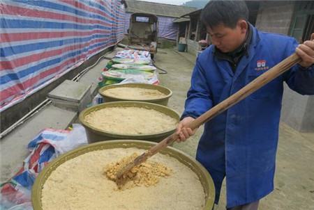科学性原则，是饲料配方设计的基本，主要是根据营养平衡和适口性还有饲料容量等。在饲料配置上首先选择适合的饲养标准，根据不同的阶段生理特点和营养需求配置饲料。