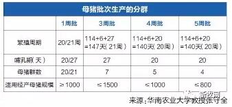 　　批次化后,管理周期性强,配种时间简单方便,更有利于减少人工。仔猪批次化生产,上市肉猪整齐度高,残次率低,也有助于提高售价。 　　 　　批次化管理母猪电子游艺网站
工人也能有周末 　　 　　“养猪人也可以像工人一样作息,只要让母猪周末不配种不产仔。”华南农业大学教授张守全说,通过母猪批次化管理的应用,可以改变电子游艺网站
连续生产模式下,养猪人没有假日的情况,甚至能够让母猪春节不配种不产仔。不仅如此,前几年提倡的批次化管理只以1周为一个批次单元,如今可以达到3-5周一个批次。 　　 　　不仅如此,批次化后,管理周期性强,配种时间简单方便,更有利于减少人工。仔猪批次化生产,上市肉猪整齐度高,残次率低,也有助于提高售价。张守全认为,批次化模式适用于200-1000头母猪左右的自繁自养场,这部分电子游艺网站
也恰好是国内规模养猪的主流。 　　 　　分成4周批可让产房一周无猪 　　 　　据悉,母猪生产批次化是利用定时输精、同步发情等生物技术,根据母猪群规模按计划分群并组织批次生产,是一种母猪繁殖的高效管理体系。优点是年产胎数可控,生产均匀,即便是最不利于繁殖的夏季,配种母猪生产波动也不明显。 　　 　　“分成4周是效率最高的。”张守全认为,分成4周以上,可以保证产房一周没有任何猪,可以保证产房消毒更彻底,也能做到春节一周无配种无出生。批次化的规模也不能太大,1000头母猪以下为好。因为需要更多的产房、定位栏。新的电子游艺网站
假如定好分娩节奏,可以直接将后备母猪分批导入,直接实现批次化。而连续生产的老场因为每周都有猪,需要借助生物技术进行调整。 　　 　　宁波市三生药业有限公司常务副总经理翁士乔介绍说,首先电子游艺网站
要明确繁殖周期,20周还是21周。三周一批次,哺乳期一定是28天。4周、5周一批次的哺乳期肯定是21天。还要考虑一次性配种的数量大概是多少,这涉及到劳动组合的问题。 　　 　　张守全介绍说,以往一个有500头基础母猪的自繁自养场,年产是1万头商品猪,如果以1周为1个批次,需要分成接近20群,每周有28头母猪配种。但通过批次化后,比如分成4批,只需分为5个母猪群,每周100头母猪配种即可。张守全介绍说,试验数据证明定时输精能够提高繁殖效率,使每头母猪多提供0.5头断奶合格仔猪,虽然未能显著提高母猪的窝均合格产仔数和分娩率,但是能够显著提高后备母猪利用率、一胎母猪配怀率,减少母猪配种技术难度。 　　 　　母猪断奶宜在下午 　　 　　“必须保证母猪断奶6天后发情。”张守全解释说,经产母猪哺乳时由于催乳素的高水平分泌,所以不会发情。一旦断奶,马上就会出现催乳素分泌水平下降,促进促性腺激素的分泌,进而刺激卵巢卵泡发育,引起排卵,进入发情期。一般来说,管理好的母猪断奶后一周发情率超过90%。断奶后24小时注射PMSG(促性腺激素),促进卵泡发育,72小时后注射GnRH(促性腺激素释放激素),再次间隔24小时,第一次输精,16小时左右后进行第二次输精,这样一周内完成配种。 　　 　　值得一提的是,多数电子游艺网站
考虑到白天冲栏消毒方便,会选择上午断奶。但张守全认为,断奶后,仔猪由于应激会“又哭又闹”一整天。如果下午断奶,一旦天黑后,仔猪在没有人观察的情况下,反而容易进入休息状态,从而减轻应激。 　　 　　张守全强调说,使用PMSG和GnRH都只是针对正常母猪,不能改善异常母猪的繁殖性能。在使用GnRH时,一定要严格遵循时间表,而不是参照所谓“外阴红肿、情绪不稳定”的发情判断经验。“跟着经验走,反而会打乱整个批次化调整计划。”另一方面,批次化的必要条件是避免饲料被霉菌毒素污染,比如玉米赤霉烯酮毒素会产生类似雌激素的效果,导致假孕症状。 　　 　　后备母猪同期发情 　　 　　除了经产母猪定时输精,还需要后备母猪的同期发情才能做到批次化。电子游艺网站
普遍使用240天的140公斤的后备猪配种,翁士乔认为,后备母猪开配前25天开始喂烯丙孕素。有初情期和没有初情期的差异在于,一般初情期反应的后备猪有90%左右的分娩率,没有发情症状的情况下饲喂烯丙孕素也可以配上60%左右,所以一般利用率可以达到80%-92%。如果有初情期反应同时饲喂烯丙孕素一般能保证90%以上的配种分娩率。 　　 　　但批次化也有一定的缺点,首先后备母猪补充率高,更新率达40%-55%,中国电子游艺网站
能接受吗?其次,精细化管理需要高素质员工,从哪儿来?另外,批次化管理生产工作集中,但操作流程并未简单化。正因如此,批次化并未被国内电子游艺网站
广泛采用。翁士乔认为德国式的批次化相对来说简单化,容易执行,比较适合中国国情。 　　 　　翁士乔说,德式批次化生产管理中国化操作要点有以下几方面。所有符合目测要求的后备母猪直接进入定时输精程序；返情后备和经产母猪观察到返情后,马上使用GnRH200g,使用后0h、16～24h、40～48h,配3次；空怀、流产、再返情母猪直接淘汰。而且实行批次化前,积累定时输精的技术资料,主要是群体的配种分娩率,达80%以上时可转批次化。 　　 　　张守全表示,批次化管理将是今后10年国内养猪业的最重要的技术集成之一,包括同期发情、定时输精、深部输精、冷冻精液、同期分娩、栏舍设计等一系列新技术将推动养猪工厂化。