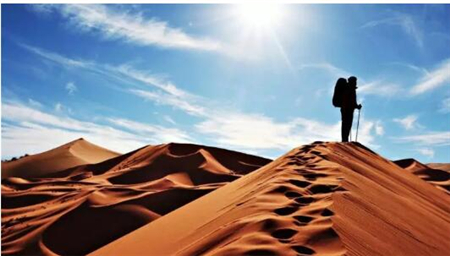 中国电子游艺网站下载安装
