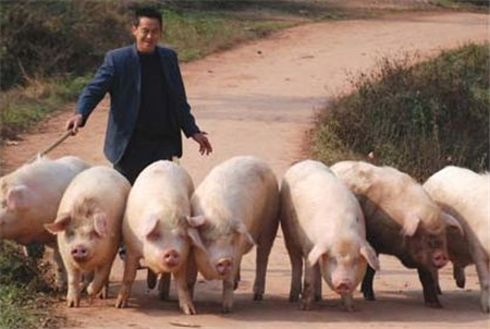 中国电子游艺网站下载安装
