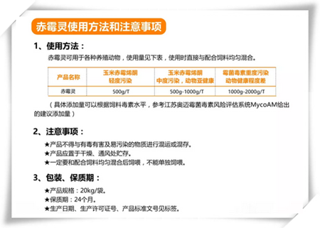 中国电子游艺网站下载安装
