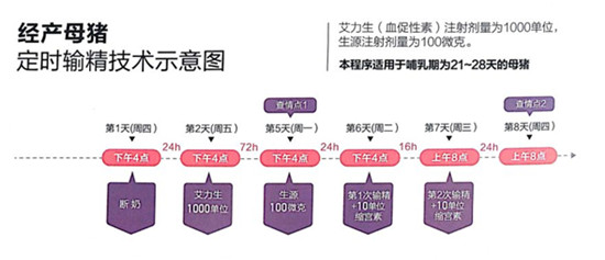 中国电子游艺网站下载安装
