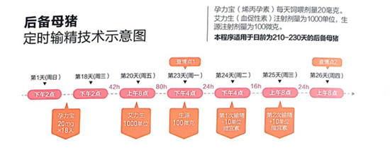 中国电子游艺网站下载安装
