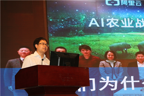 中国电子游艺网站下载安装

