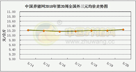 中国电子游艺网站下载安装
