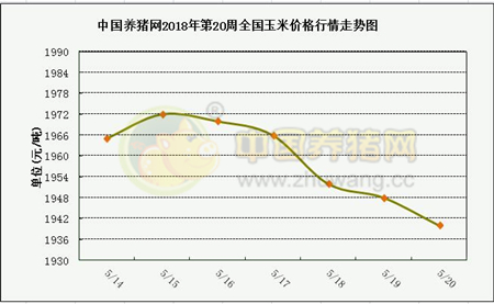 中国电子游艺网站下载安装
