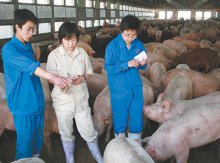 中国电子游艺网站下载安装
