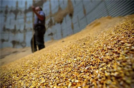 中国电子游艺网站下载安装
