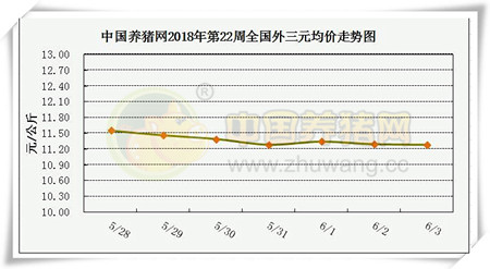 中国电子游艺网站下载安装
