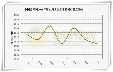 中国电子游艺网站下载安装
