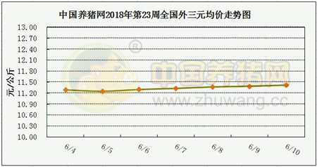 中国电子游艺网站下载安装
