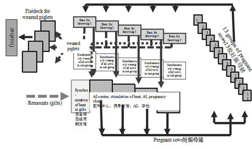 //www.vv55hh.com/show-118-356038-1.html