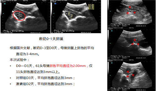 中国电子游艺网站下载安装
