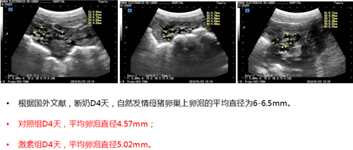 中国电子游艺网站下载安装
