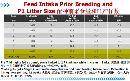 中国电子游艺网站下载安装
