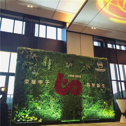明道若昧；进道若退；夷道若纇。