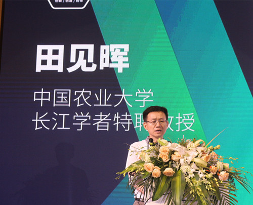 中国电子游艺网站下载安装