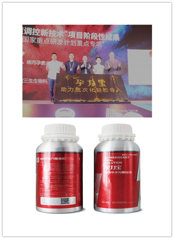 中国电子游艺网站下载安装
