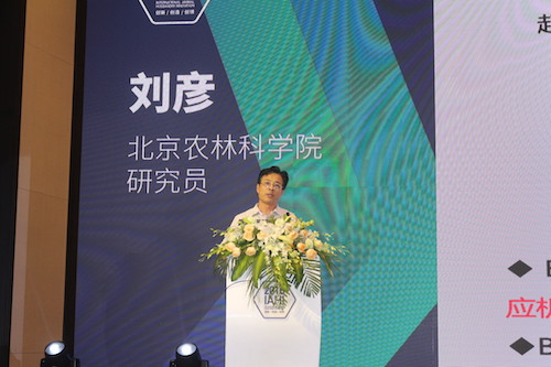 中国电子游艺网站下载安装
