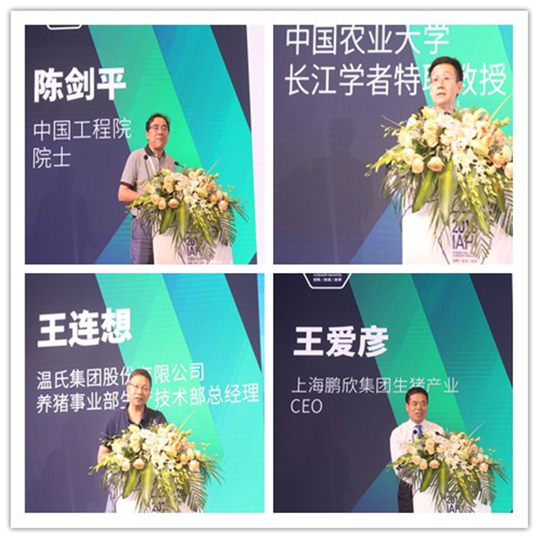 中国电子游艺网站下载安装
