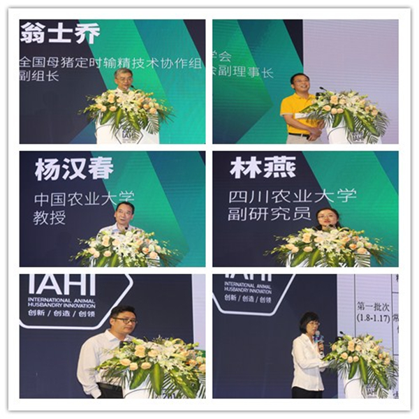 中国电子游艺网站下载安装
