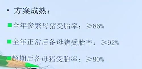 中国电子游艺网站下载安装