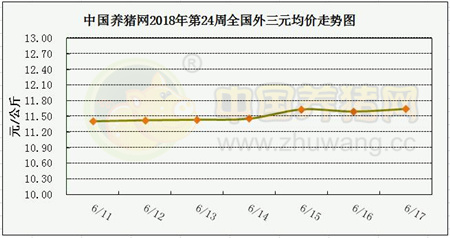 中国电子游艺网站下载安装
