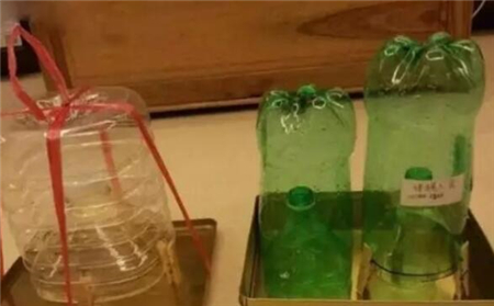 中国电子游艺网站下载安装
