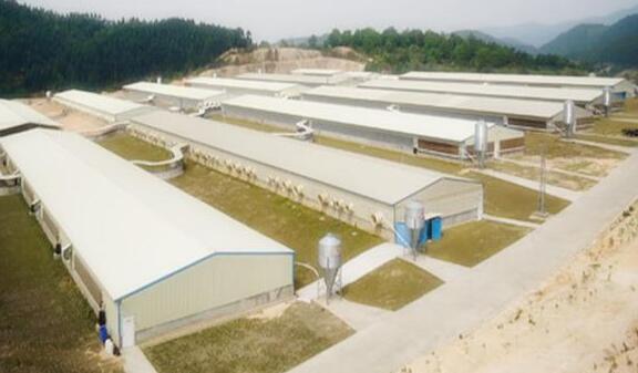 中国电子游艺网站下载安装
