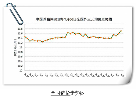 标猪供应偏紧 猪价再度上涨 但涨幅受限