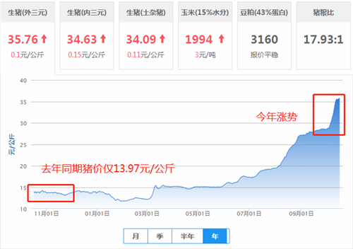 中国电子游艺网站下载安装