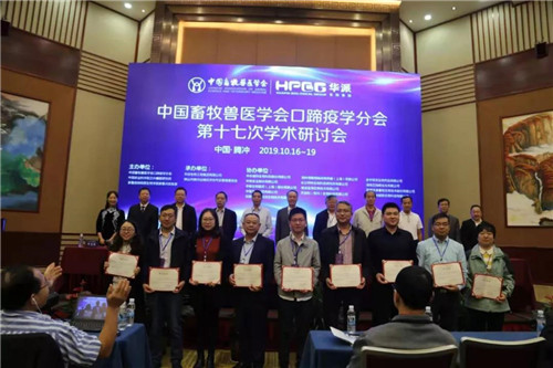 中国电子游艺网站下载安装
