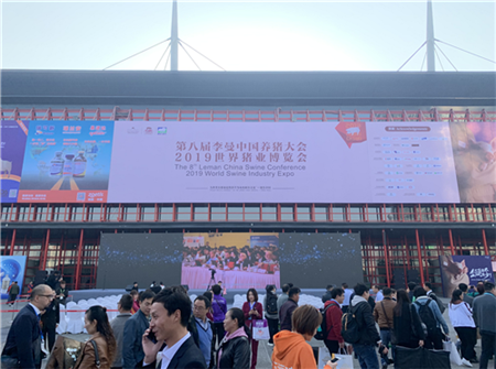 中国电子游艺网站下载安装