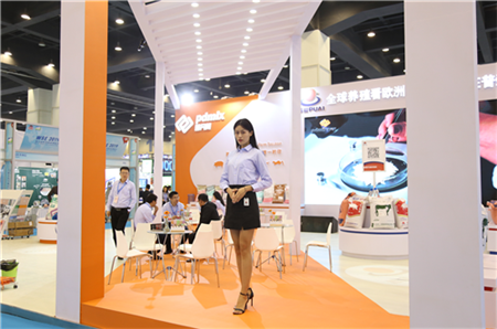 中国电子游艺网站下载安装