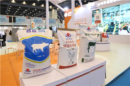 中国电子游艺网站下载安装