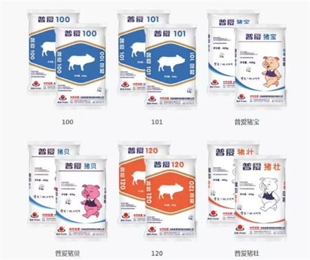 中国电子游艺网站下载安装