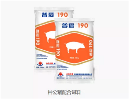 中国电子游艺网站下载安装