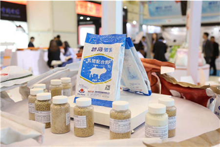 中国电子游艺网站下载安装