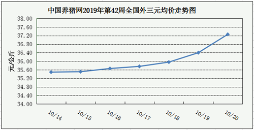 中国电子游艺网站下载安装
