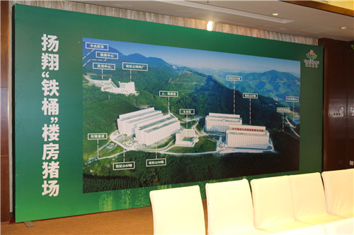 我的眼里只有猪——“铁桶”楼房电子游艺网站一站式服务打造“造肉工厂”！