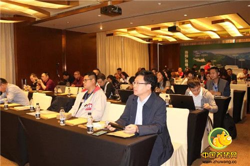 扬翔“铁桶”楼房电子游艺网站
一站式服务打造“造肉工厂”！