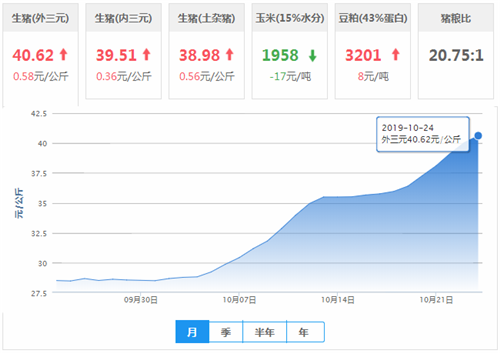 中国电子游艺网站下载安装