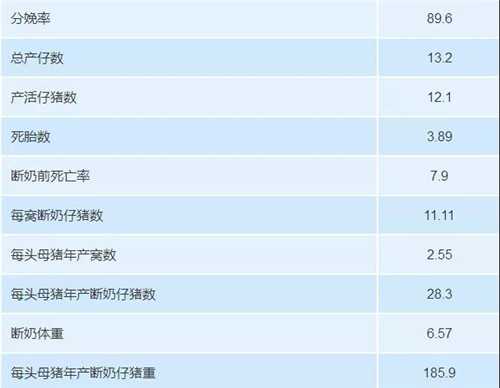 中国电子游艺网站下载安装
