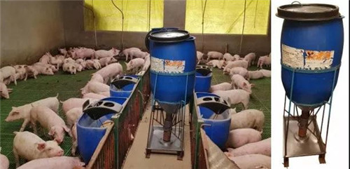 中国电子游艺网站下载安装