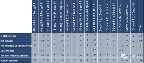 中国电子游艺网站下载安装
