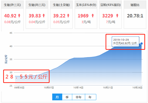 中国电子游艺网站下载安装
