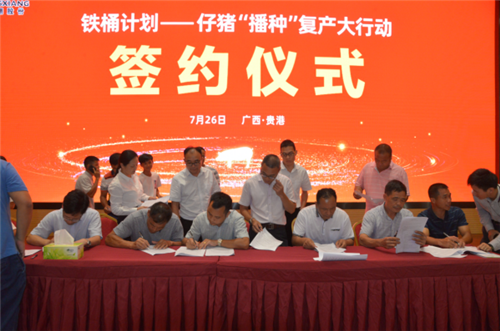 “金猪快列”追风逐电，“种猪”这张行情票你要不要？