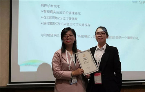 中国电子游艺网站下载安装