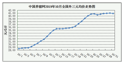 中国电子游艺网站下载安装
